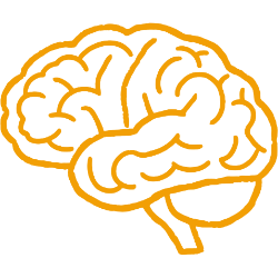 Cerebro